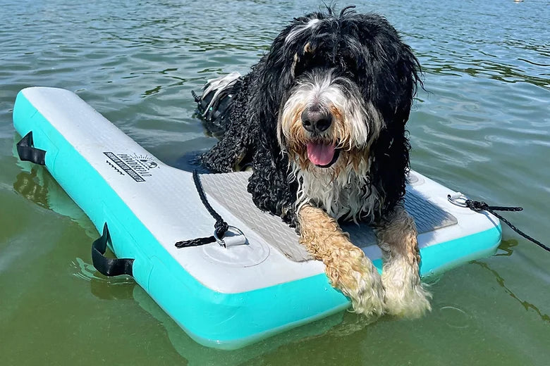 Paradise Pad Inflatable Dog Water Ramp